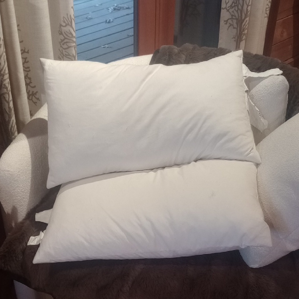Pottery Barn Pillow Set